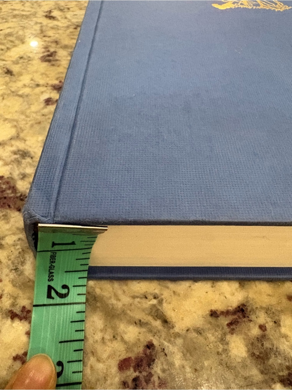 Disney Blue Hardcover with Gold Winnie the Pooh Motif - Picture 11 of 11